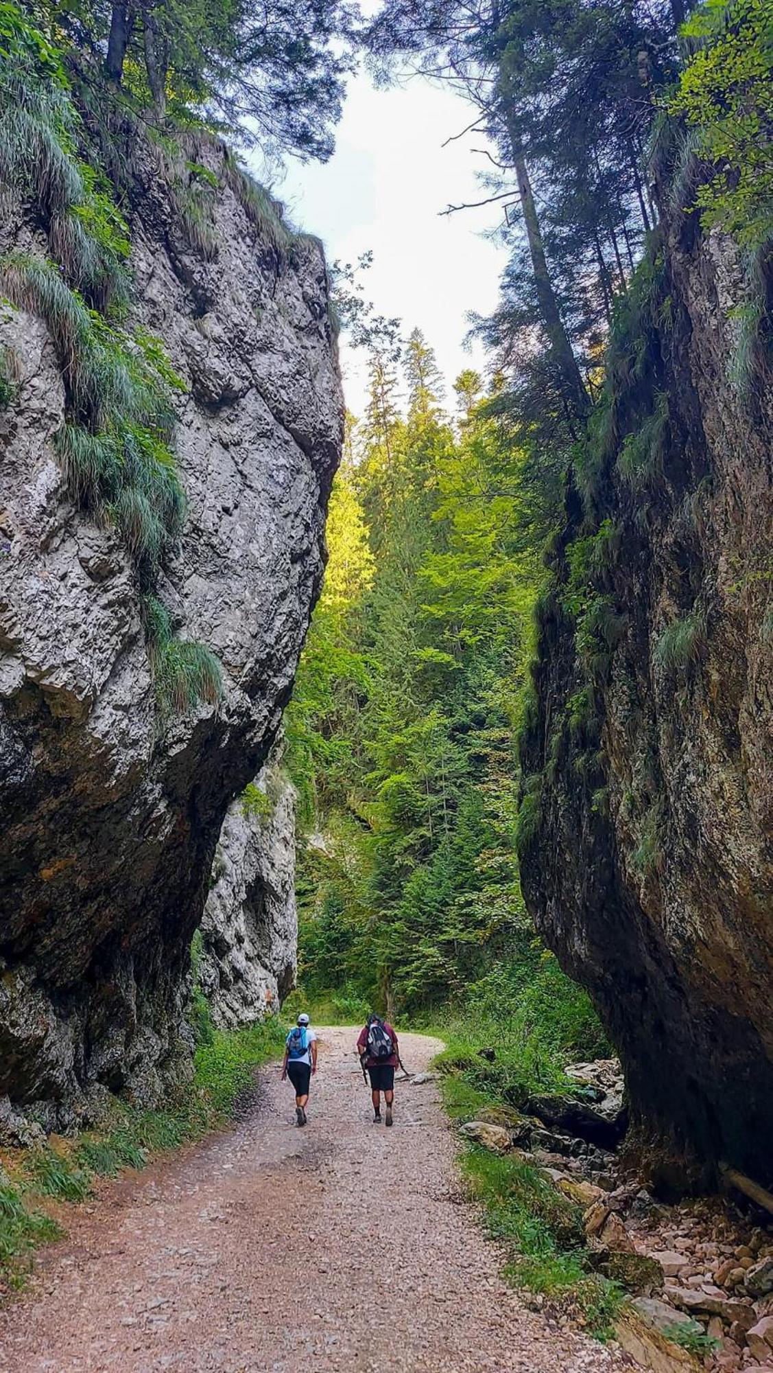 Cazare Zorilor Zărneşti Zimmer foto