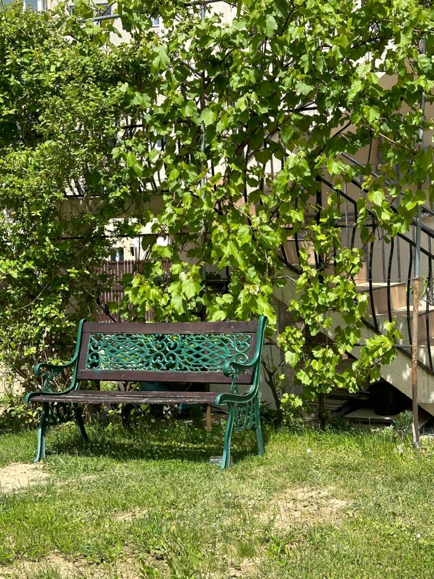 Cazare Zorilor Zărneşti Zimmer foto